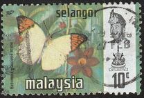 [Butterflies, type BA]