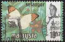 [Butterflies, type BA]