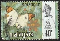 [Butterflies, type BA]