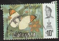 [Butterflies, type BA]