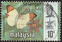 [Butterflies, type BA]