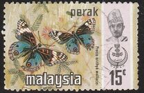 [Butterflies, type AV]