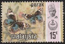 [Butterflies, type AV]