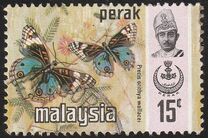 [Butterflies, type AV]