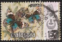 [Butterflies, type AV]