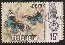 [Butterflies, type AV]