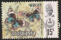 [Butterflies, type AV]