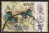 [Butterflies, type AV]