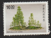 [Bonsai, tyyppi BBX]