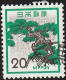 [Definitive Issue, type AYA]