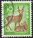 [Definitive Issue, type AXZ]