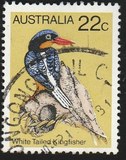 [Birds, type TW]