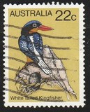 [Birds, type TW]