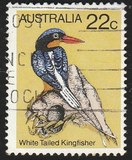 [Birds, type TW]
