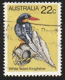[Birds, type TW]