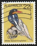 [Birds, type TW]
