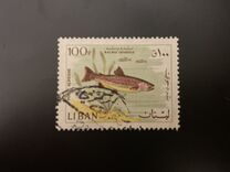 [Fauna - Fish, Tipe PG]