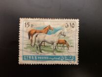 [Fauna - Domestic Animals, type PA]