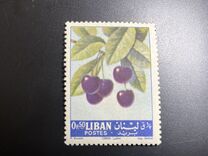 [Fruits, type JE]