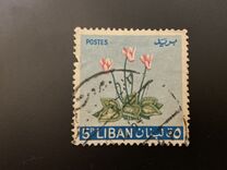 [Flowers, 類型 KI]