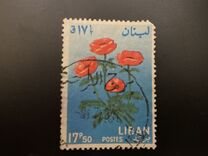 [Flowers, 類型 KP]