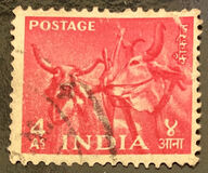 [Five Year Plan, type CU]