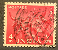 [Five Year Plan, type CU]