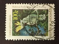 [Cockatoos, type ANB]
