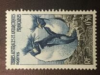 [Penguins and Seals, type B]