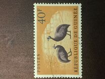[Birds - Guineafowl, 类型 AE3]