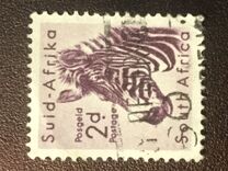 [Local Animals, tipas GL]