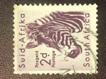 [Local Animals, tipas GL]