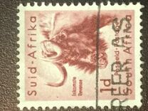 [Local Animals, tipas GJ]