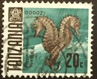 [Marine Life - Fish, type T]