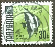 [Marine Life - Fish, type U]