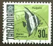 [Marine Life - Fish, type U]