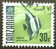 [Marine Life - Fish, type U]