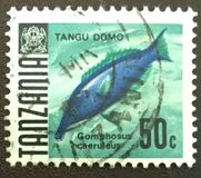 [Marine Life - Fish, type W]