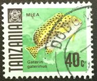 [Marine Life - Fish, type V]