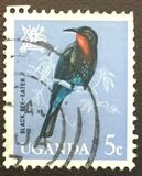 [Birds, tyyppi Y]