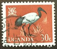 [Birds, tyyppi AC]