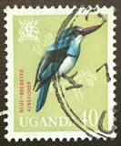 [Birds, tyyppi AD]