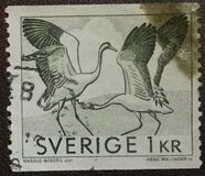 [Canal and Crane Dance, Tip HK]