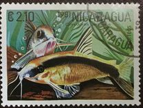 [Tropical Fish, Tip BCQ]