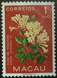 [Indigenous Flowers, type CI]