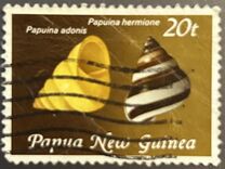 [Land Snail Shells, نوع OP]