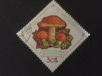 [Fungi, Tip KU]