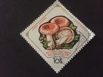 [Fungi, Tip KR]