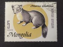 [Mongolian Fur Industry, 유형 NC]