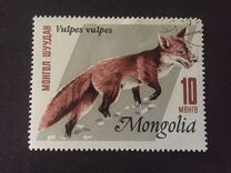 [Mongolian Fur Industry, 유형 ND]